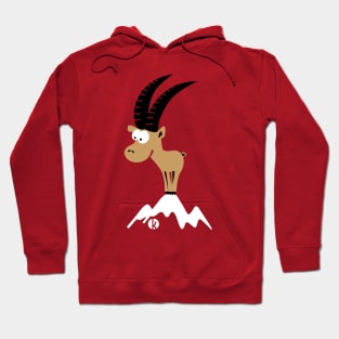 Capricorn On Mountain Hoodie